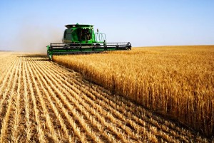 Droit_agri